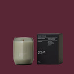 bonberry-candle-ashley-and-co-waxed-perfume-candle