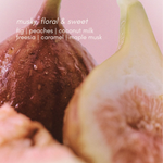 Amberjack-Candles-Brown-Sugar-Fig-Candles-1
