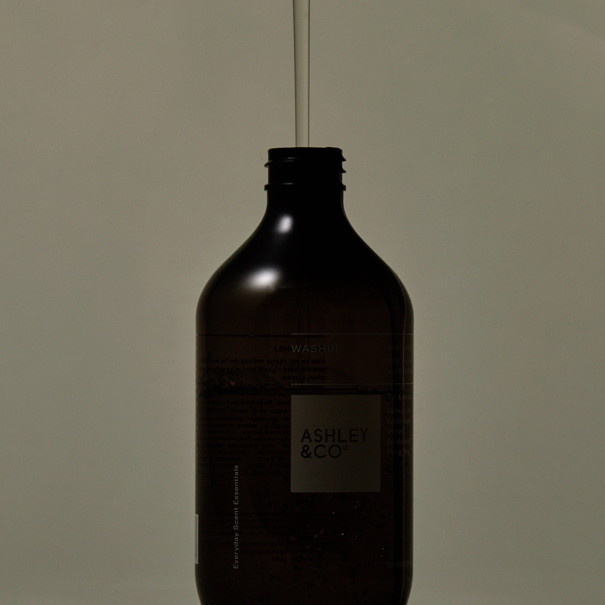 Ashley-and-Co-Washup-Refill-campaign