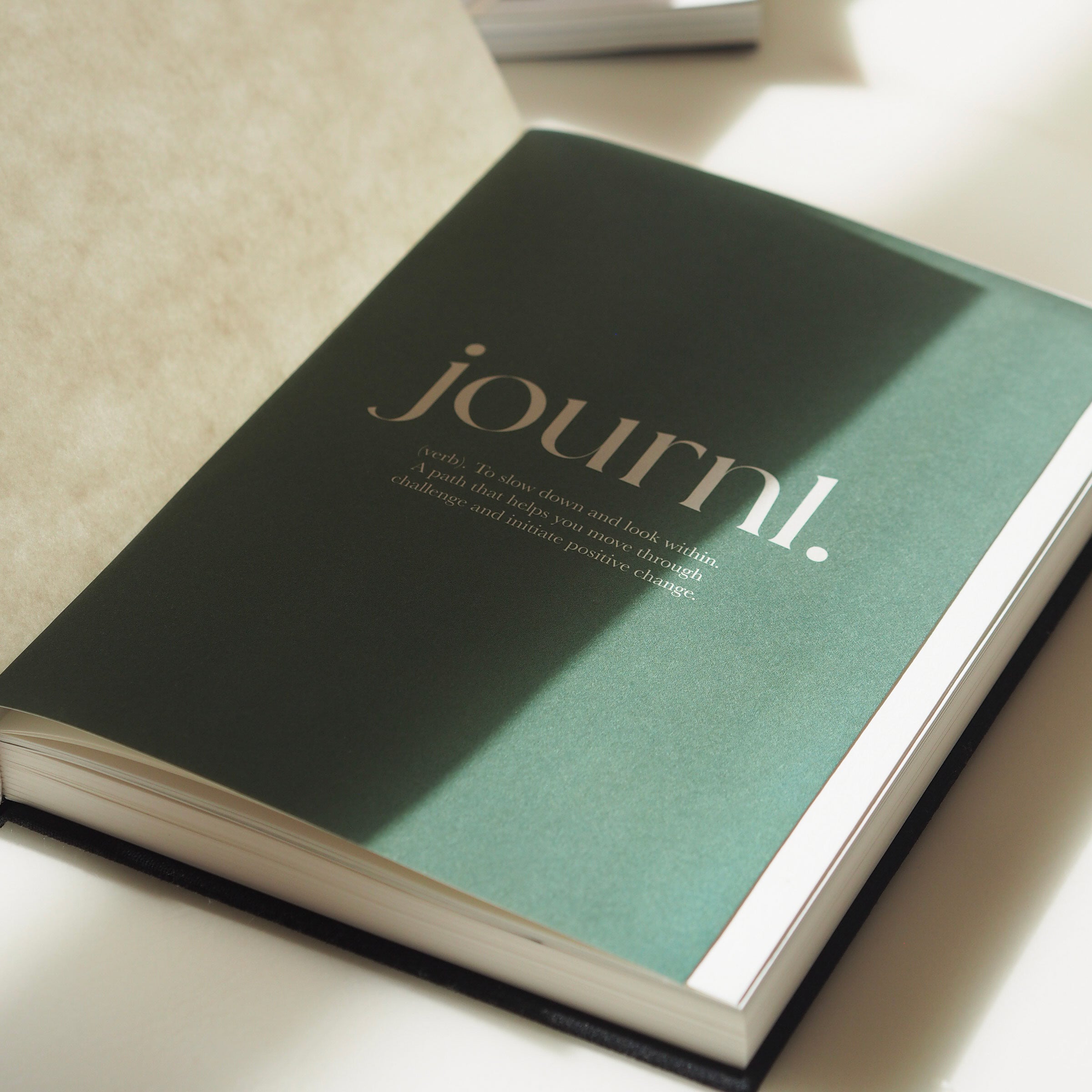 JOURNL-Journal-inside-front-cover