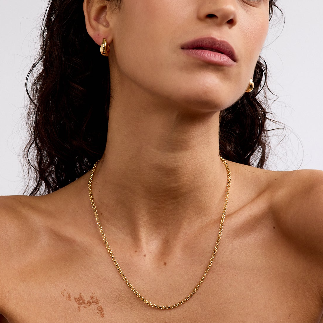 Rolo-Gold-Chain-Necklace-La-Dailie