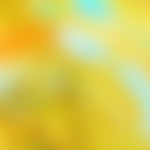 ashley-and-co-tui-and-kahili-scent-visualisation