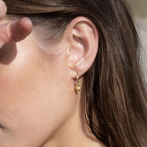    sophie-jewellery-sophie-earrings-sea-shells-hoops-gold