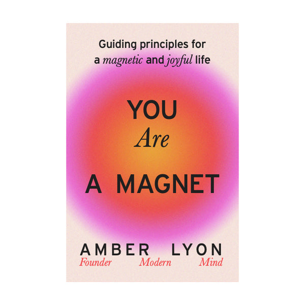 you-are-a-magnet-book-amber-lyon