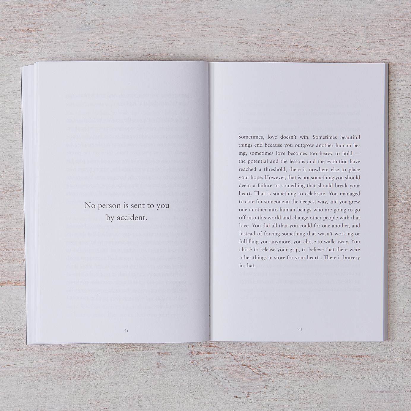      a-gentle-reminder-book-bianca-sparacino-1
