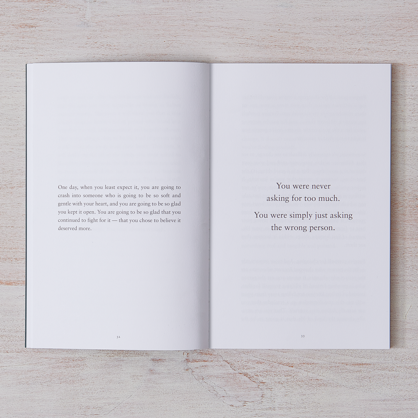     a-gentle-reminder-book-bianca-sparacino-3