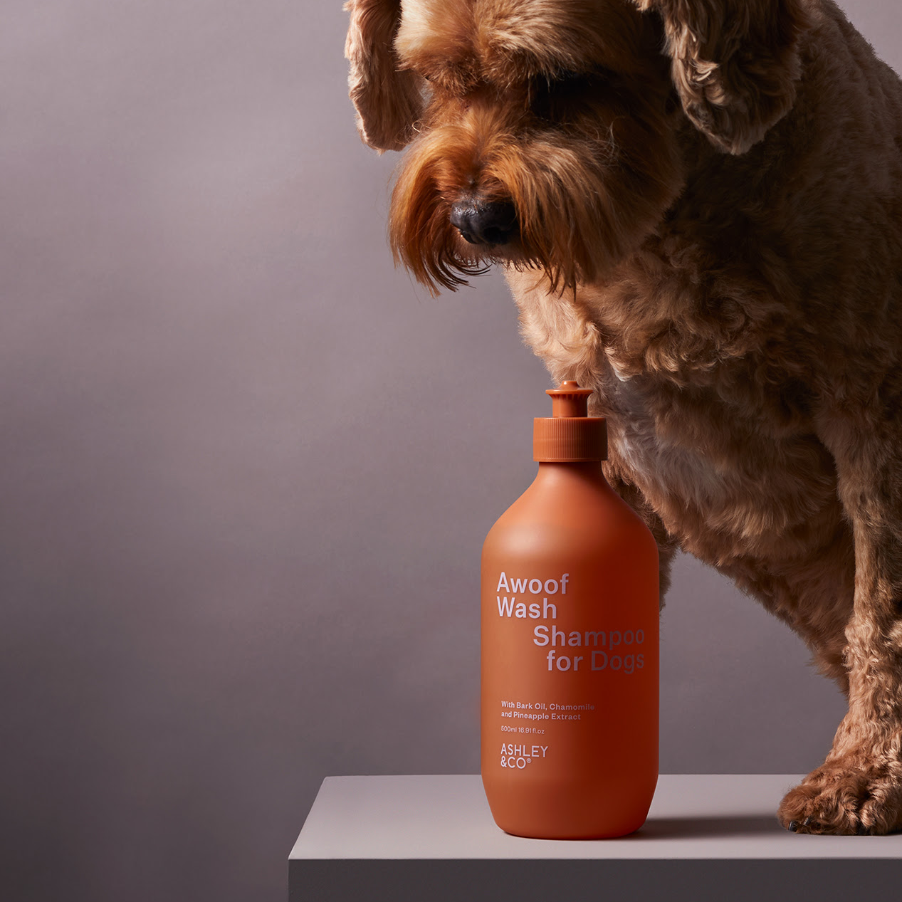 homeware-ashley-and-co-dog-shampoo